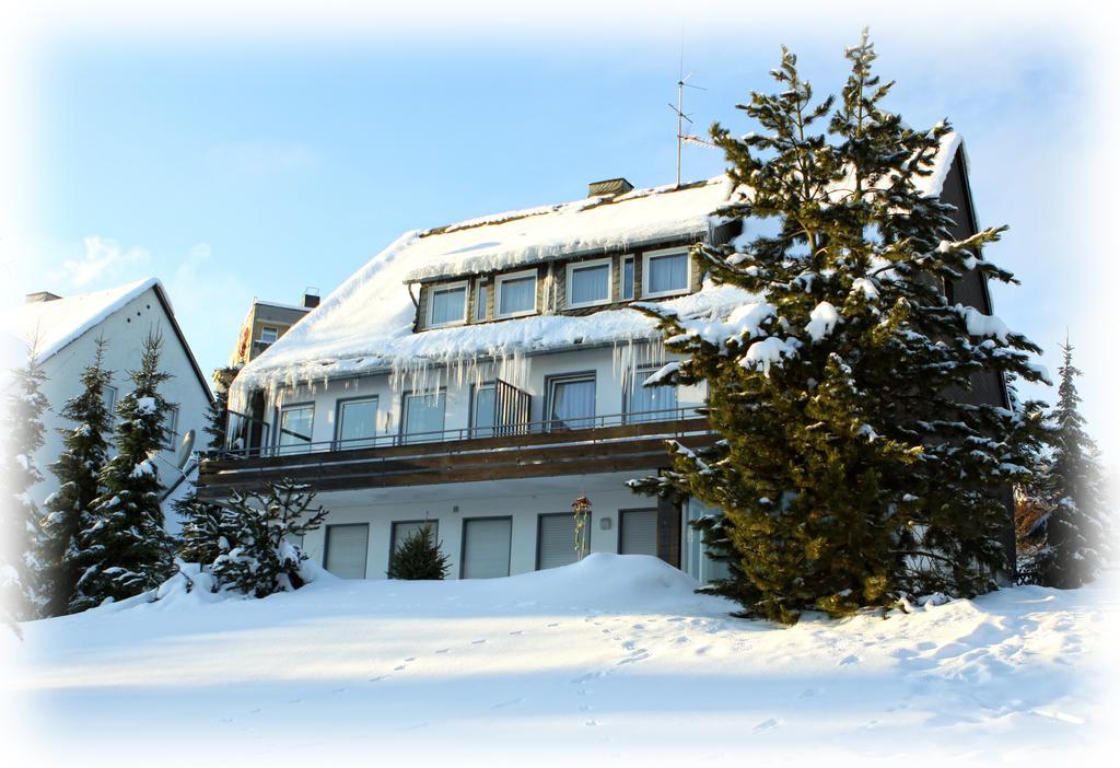 Wietheger'S Gaestehaus Centrum Willingen  Habitación foto